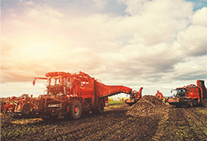 agriculture industry