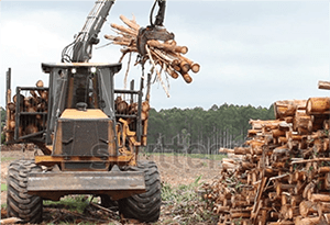 logging industry